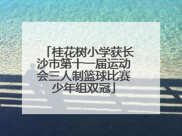 桂花树小学获长沙市第十一届运动会三人制篮球比赛少年组双冠
