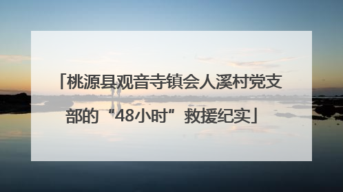桃源县观音寺镇会人溪村党支部的“48小时”救援纪实