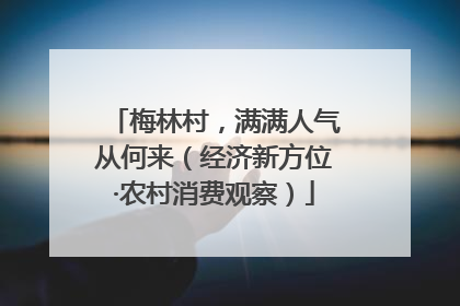 梅林村，满满人气从何来（经济新方位·农村消费观察）
