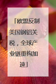 欧盟反制美国钢铝关税，全球产业链重构加速
