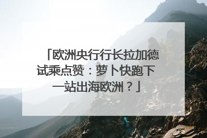 欧洲央行行长拉加德试乘点赞：萝卜快跑下一站出海欧洲？