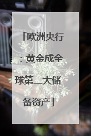 欧洲央行：黄金成全球第二大储备资产