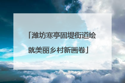 潍坊寒亭固堤街道绘就美丽乡村新画卷
