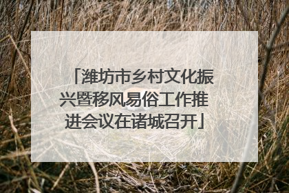 潍坊市乡村文化振兴暨移风易俗工作推进会议在诸城召开