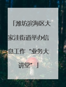 潍坊滨海区大家洼街道举办信息工作“业务大讲堂”