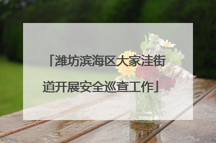 潍坊滨海区大家洼街道开展安全巡查工作