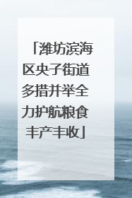 潍坊滨海区央子街道多措并举全力护航粮食丰产丰收