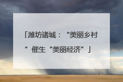 潍坊诸城：“美丽乡村”催生“美丽经济”