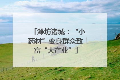 潍坊诸城：“小药材”变身群众致富“大产业”