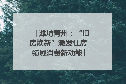 潍坊青州：“旧房焕新”激发住房领域消费新动能