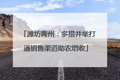 潍坊青州：多措并举打通销售渠道助农增收