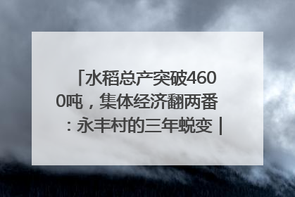 水稻总产突破4600吨，集体经济翻两番：永丰村的三年蜕变｜您牵挂的四川