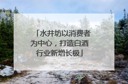 水井坊以消费者为中心，打造白酒行业新增长极