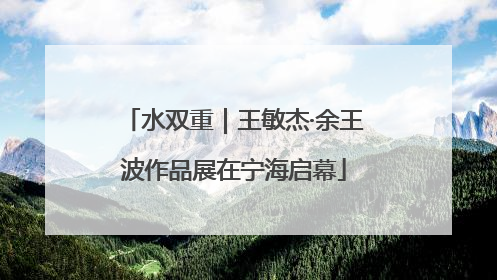 水双重｜王敏杰·余王波作品展在宁海启幕