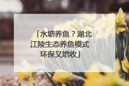 水塘养鱼？湖北江陵生态养鱼模式环保又增收