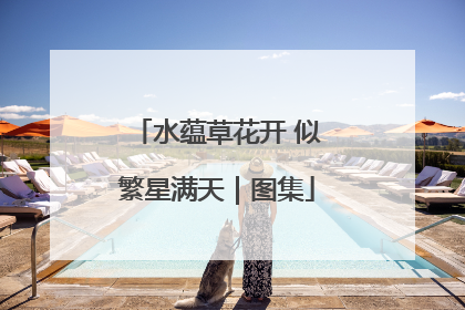 水蕴草花开 似繁星满天｜图集