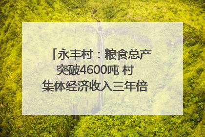 永丰村：粮食总产突破4600吨 村集体经济收入三年倍增｜牵挂的村