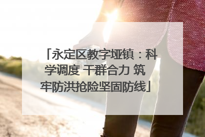 永定区教字垭镇：科学调度 干群合力 筑牢防洪抢险坚固防线