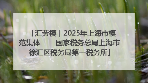 汇劳模｜2025年上海市模范集体——国家税务总局上海市徐汇区税务局第一税务所
