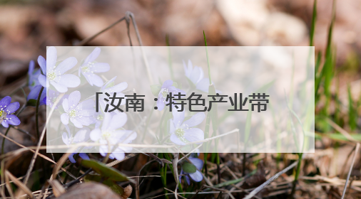 汝南：特色产业带动农民增收致富