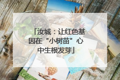 汝城：让红色基因在“小树苗”心中生根发芽