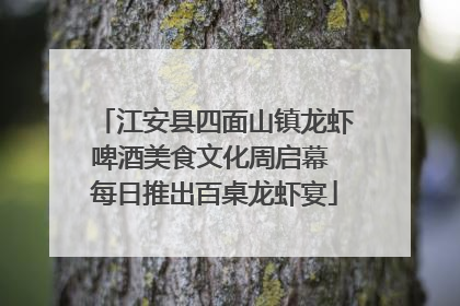 江安县四面山镇龙虾啤酒美食文化周启幕 每日推出百桌龙虾宴