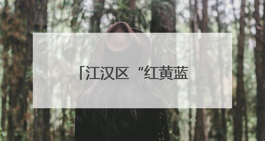 江汉区“红黄蓝”服务队上线，组团守护居民“舌尖上的安全”