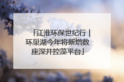 江淮环保世纪行｜环巢湖今年将新增数座深井控藻平台