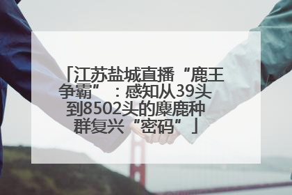 江苏盐城直播“鹿王争霸”：感知从39头到8502头的麋鹿种群复兴“密码”