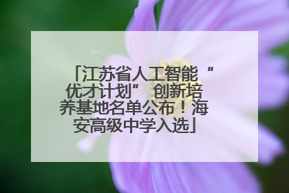 江苏省人工智能“优才计划” 创新培养基地名单公布！海安高级中学入选