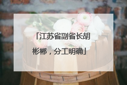江苏省副省长胡彬郴，分工明确