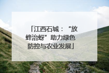 江西石城：“放蜂治蚜”助力绿色防控与农业发展