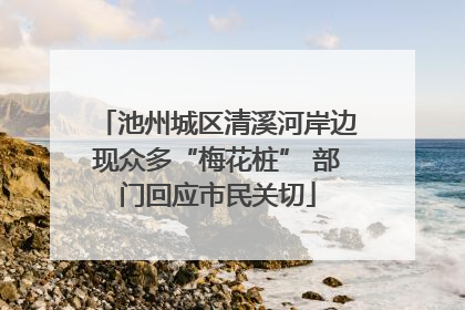 池州城区清溪河岸边现众多“梅花桩” 部门回应市民关切