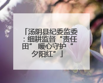 汤阴县纪委监委：细耕监督“责任田” 暖心守护“夕阳红”
