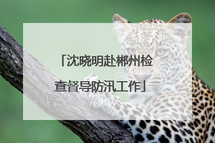 沈晓明赴郴州检查督导防汛工作