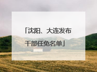 沈阳、大连发布干部任免名单