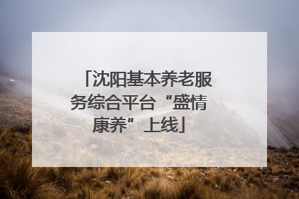 沈阳基本养老服务综合平台“盛情康养”上线