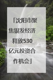 沈阳市聚焦银发经济释放530亿元投资合作机会