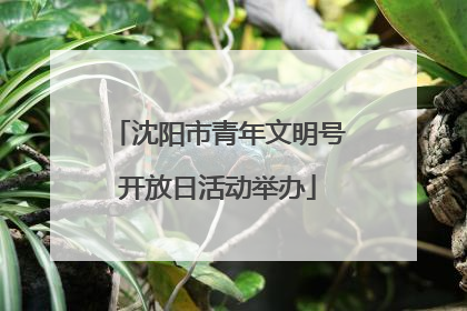 沈阳市青年文明号开放日活动举办