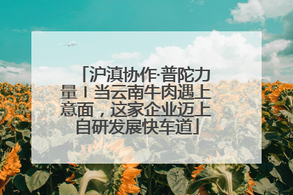 沪滇协作·普陀力量〡当云南牛肉遇上意面，这家企业迈上自研发展快车道