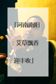 河南南阳：艾草飘香迎丰收