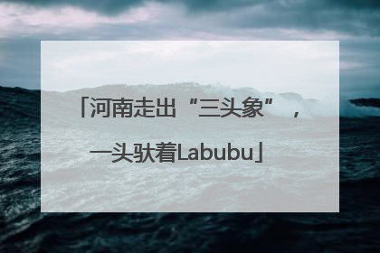 河南走出“三头象”，一头驮着Labubu