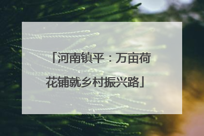 河南镇平：万亩荷花铺就乡村振兴路
