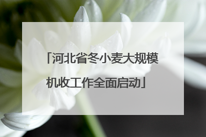 河北省冬小麦大规模机收工作全面启动