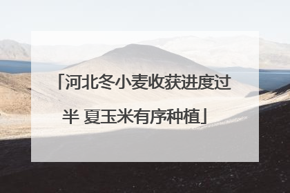 河北冬小麦收获进度过半 夏玉米有序种植