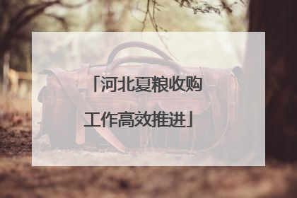 河北夏粮收购工作高效推进