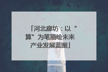 河北廊坊：以“算”为笔描绘未来产业发展蓝图