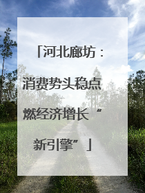 河北廊坊：消费势头稳点燃经济增长“新引擎”
