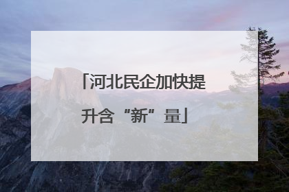 河北民企加快提升含“新”量