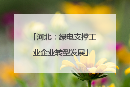 河北：绿电支撑工业企业转型发展